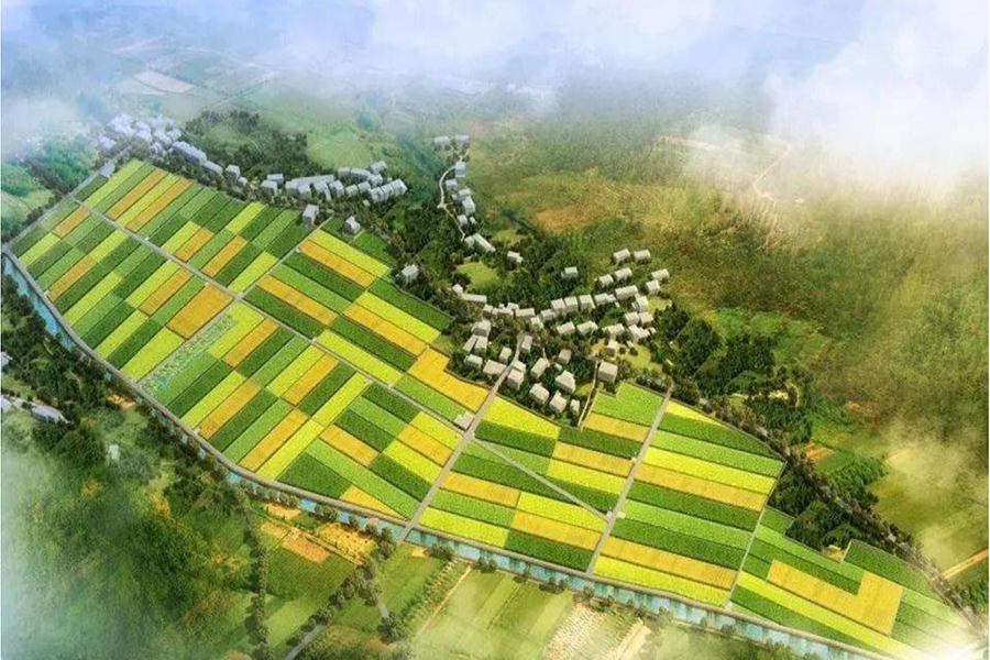 宁明县高标准农田建设项目
