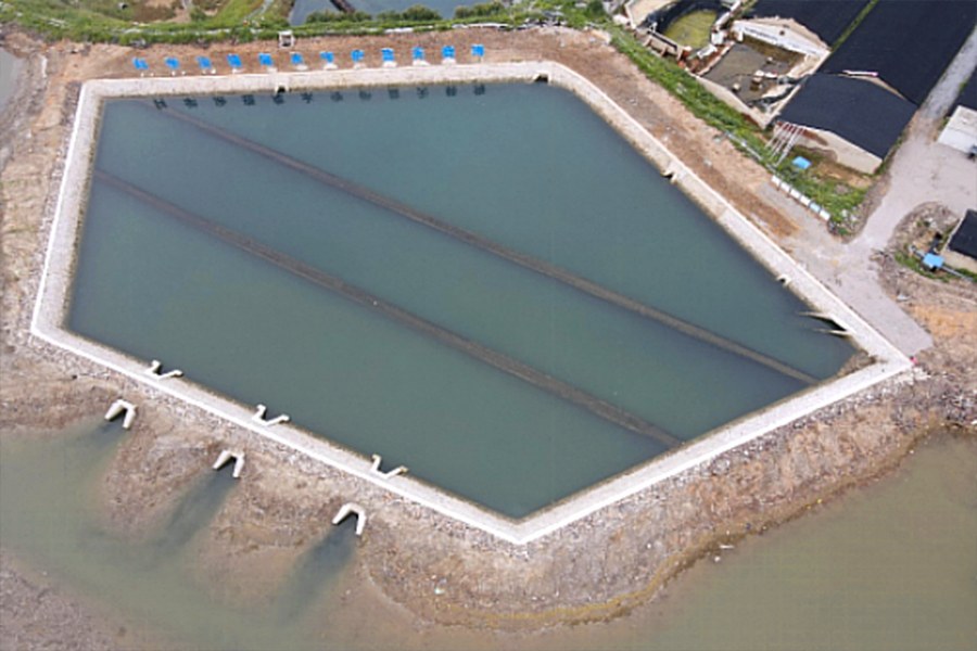 兴城河流域总氮综合治理工程和多宝鱼养殖环境整治工程