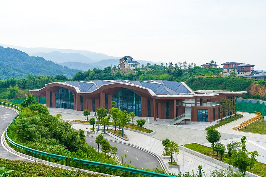 南湾开放式服务区｜藏在山水间的禅茶文旅目的地