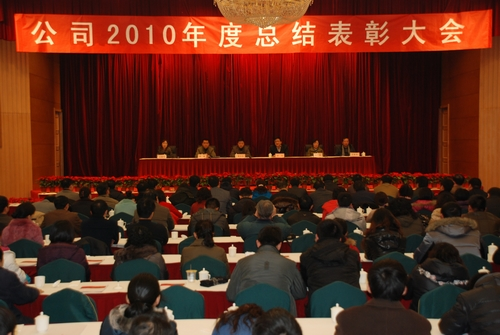 公司召开2010年度总结表彰大会 
